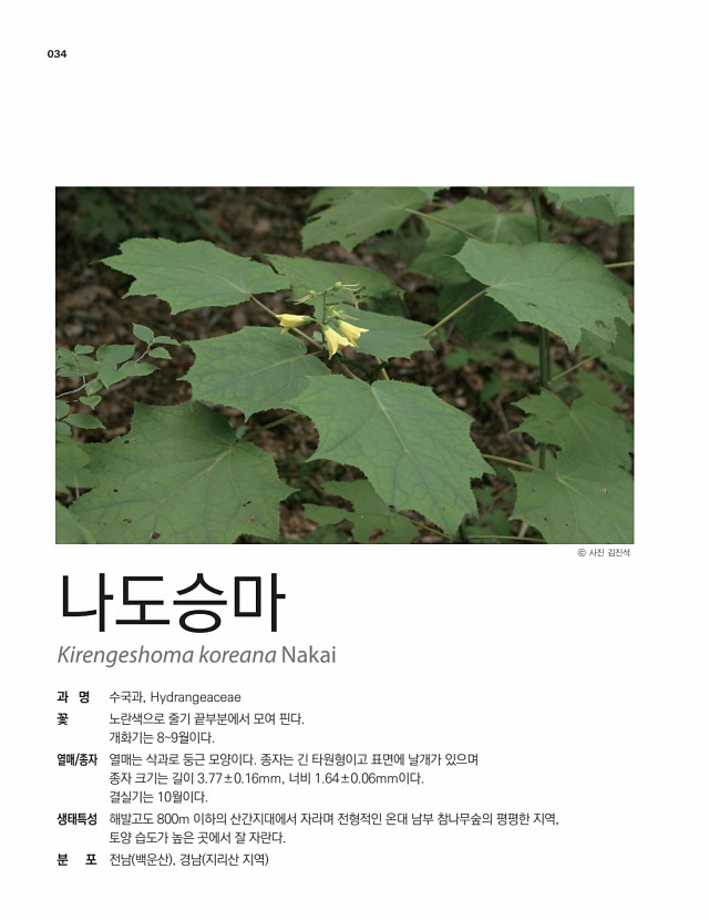 30페이지