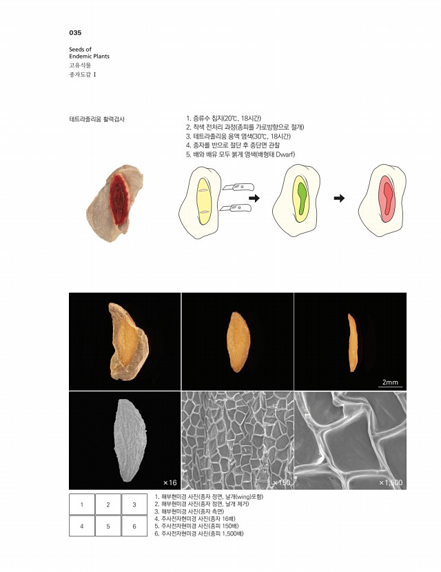 31페이지