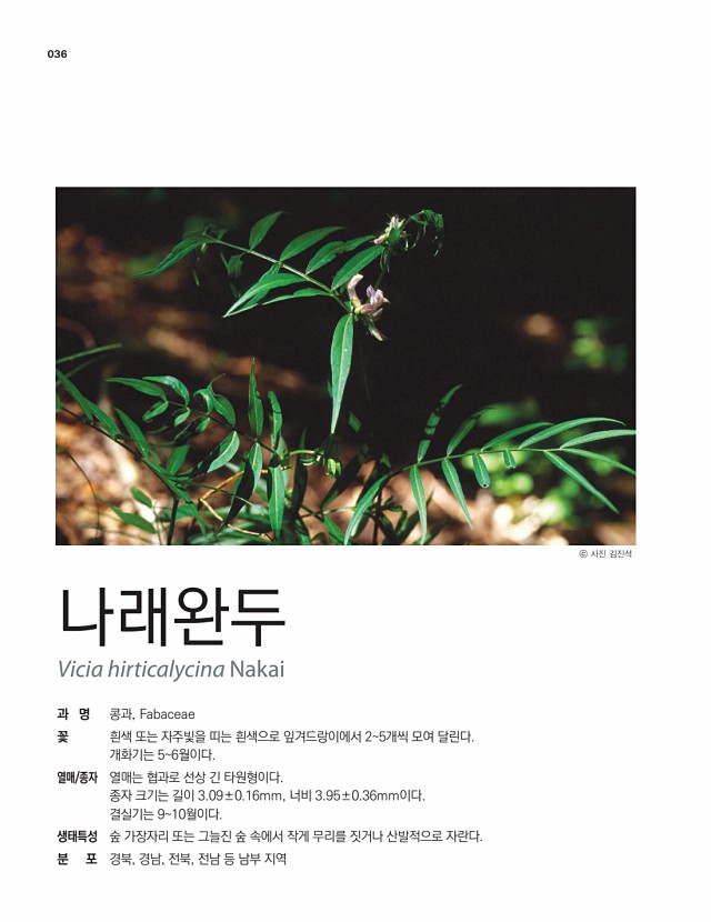 32페이지