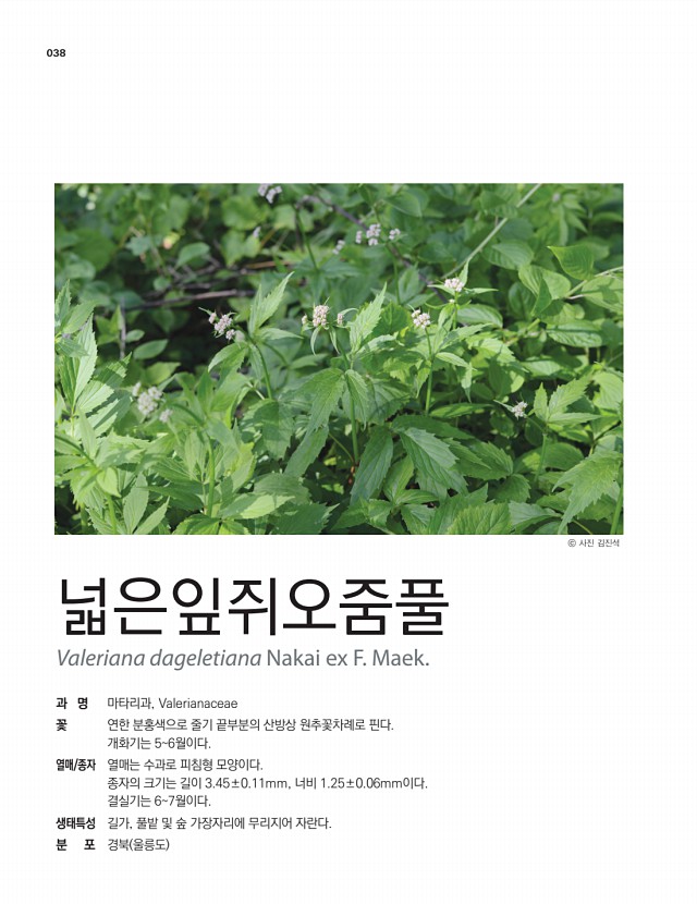 34페이지
