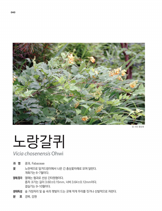 36페이지