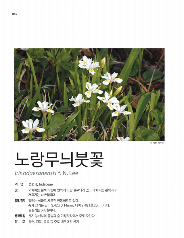 38페이지