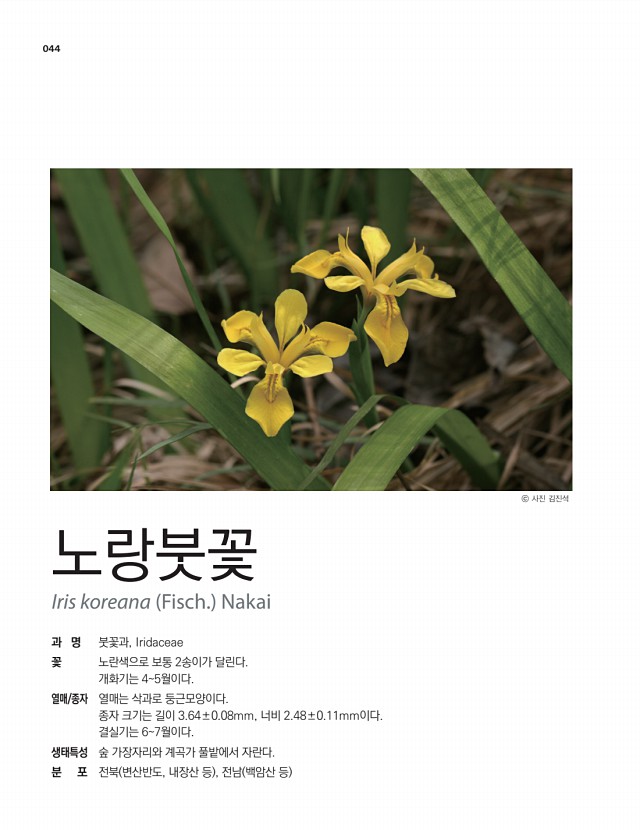 40페이지
