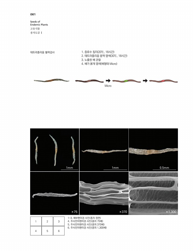 50페이지