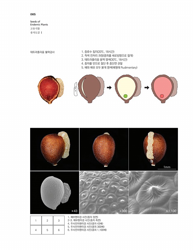 54페이지