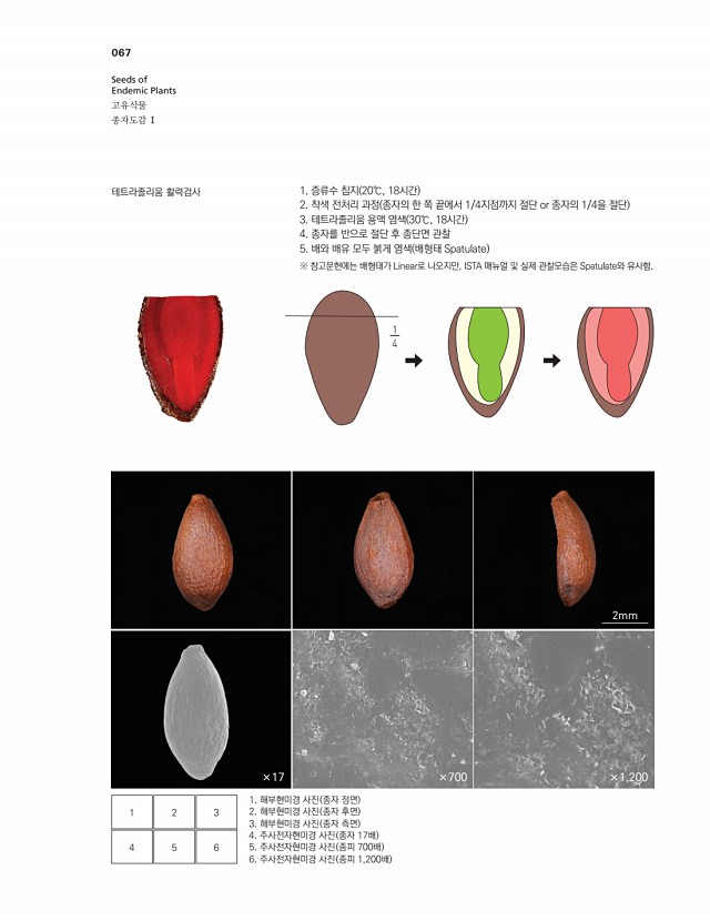 56페이지