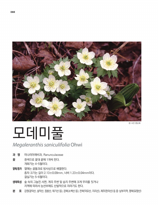 57페이지