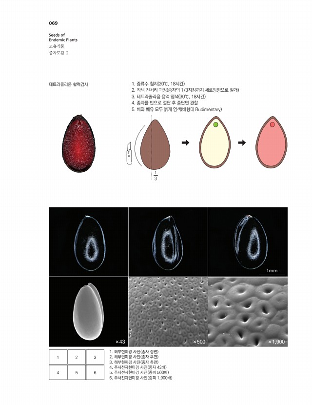58페이지