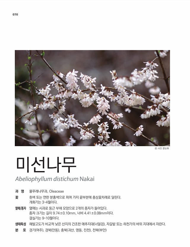 59페이지