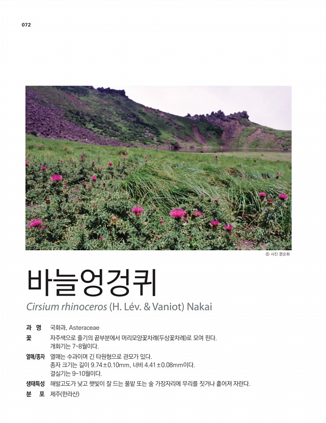 61페이지