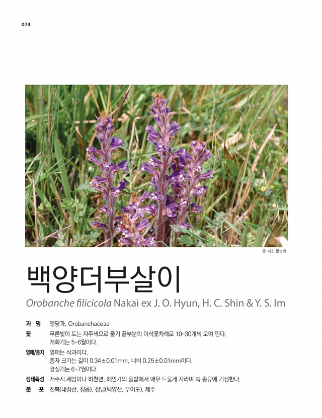 63페이지