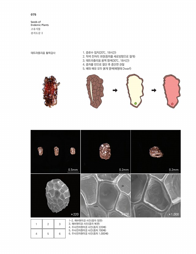 64페이지