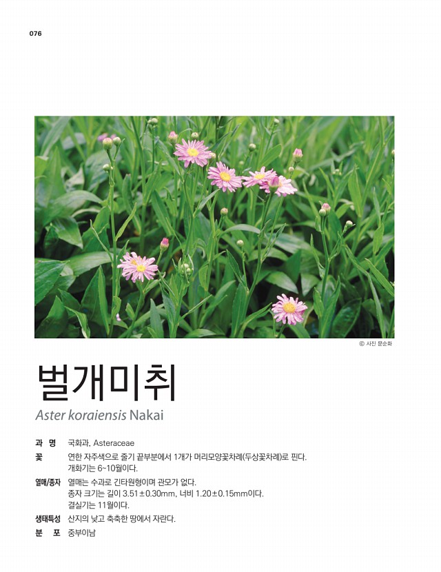 62페이지