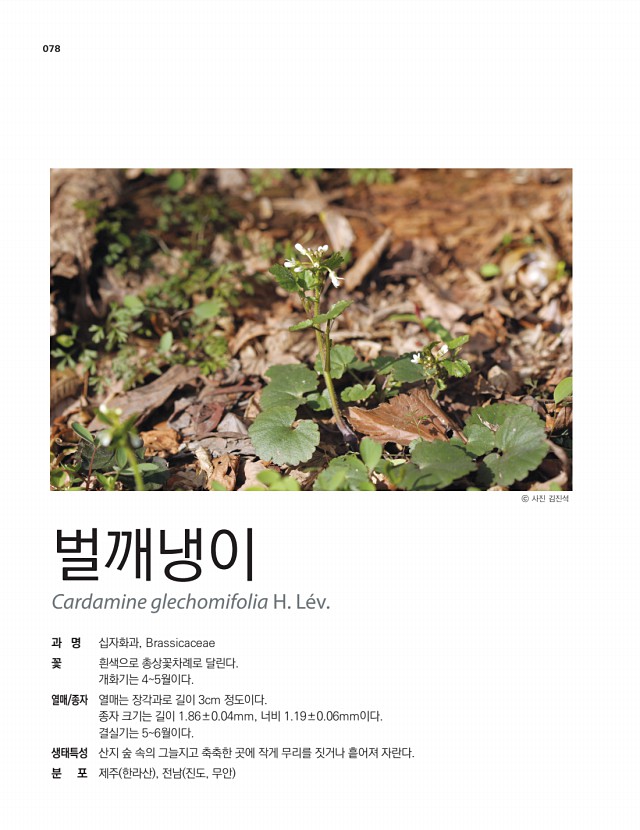 64페이지