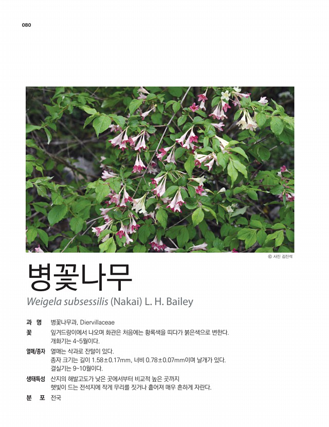 66페이지