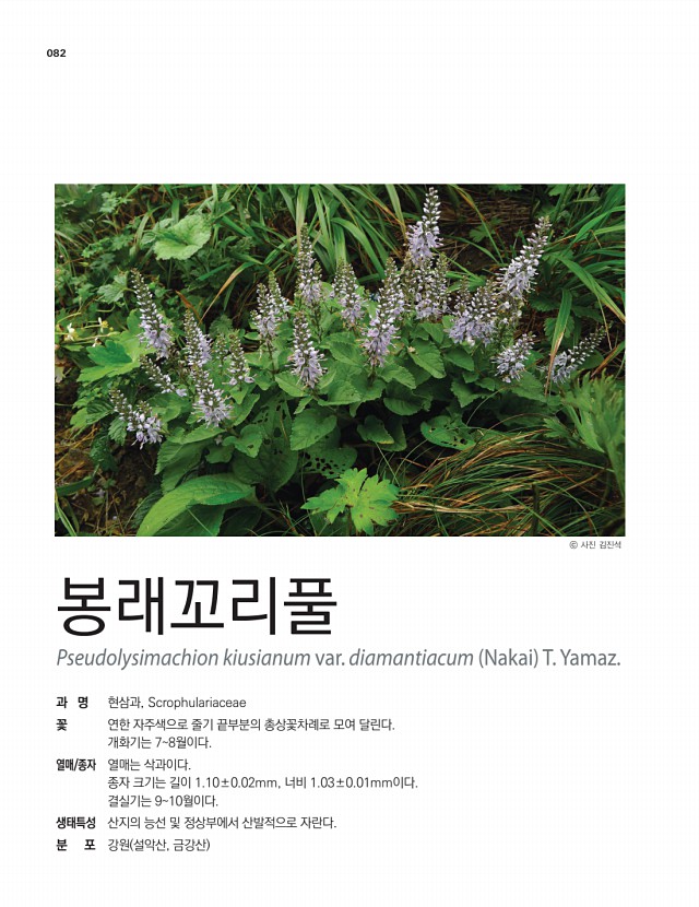 68페이지