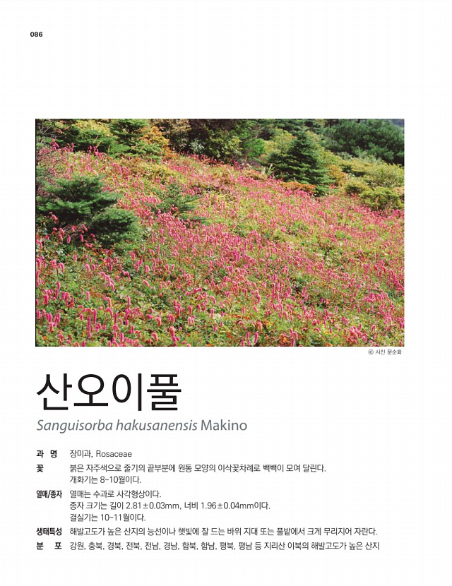 72페이지