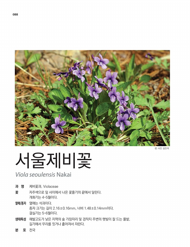 74페이지