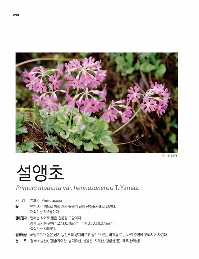 76페이지
