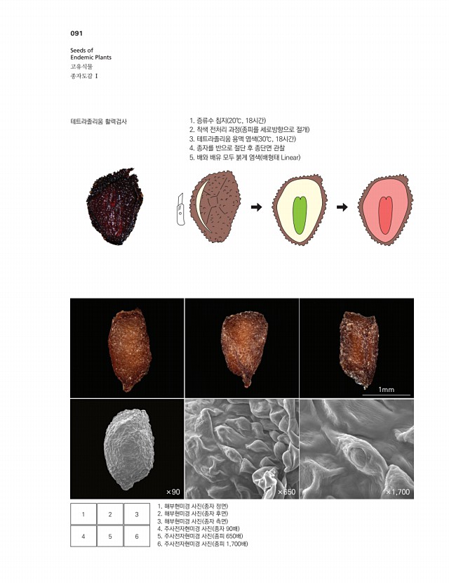 81페이지