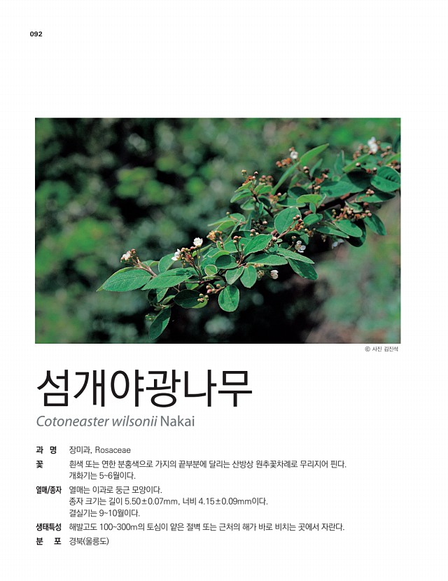 82페이지