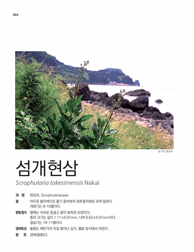 84페이지
