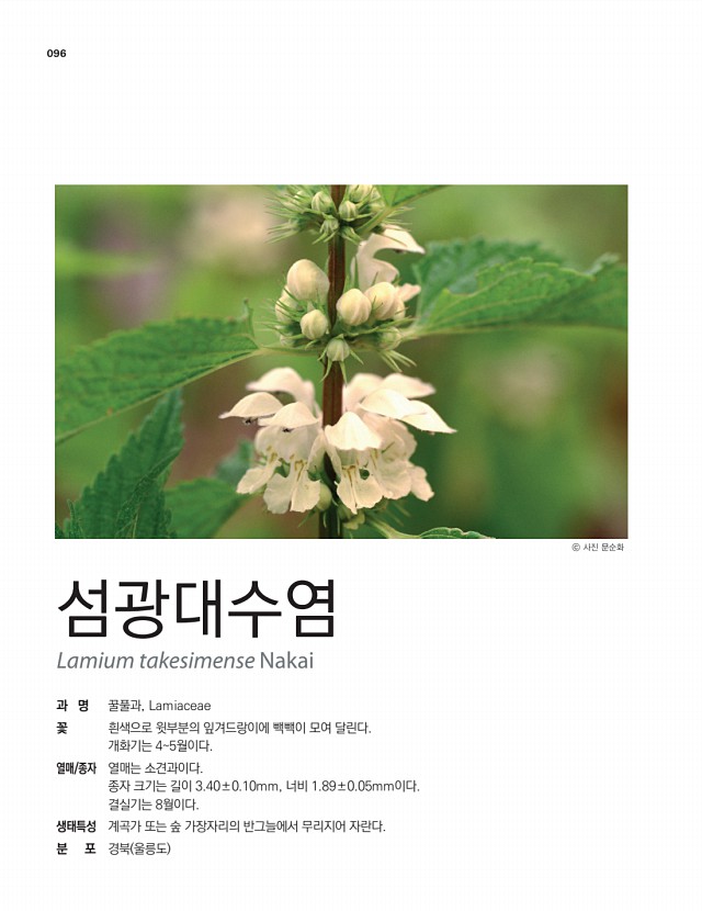 86페이지
