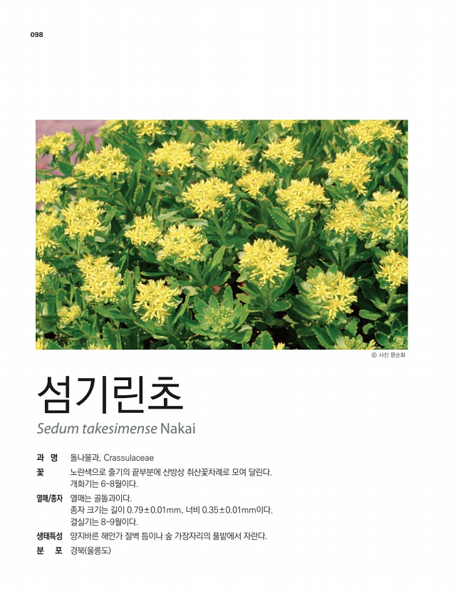 88페이지