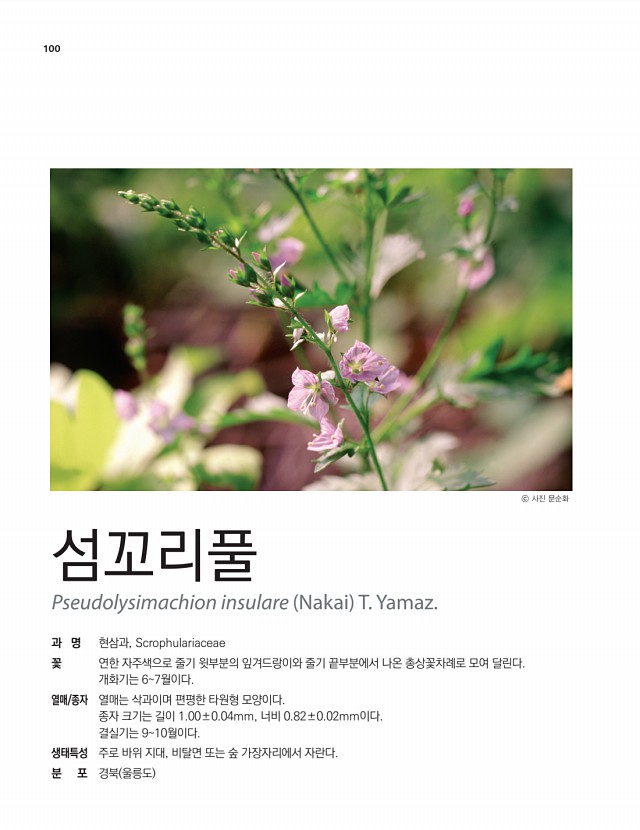 90페이지