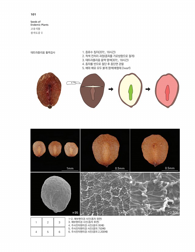 91페이지