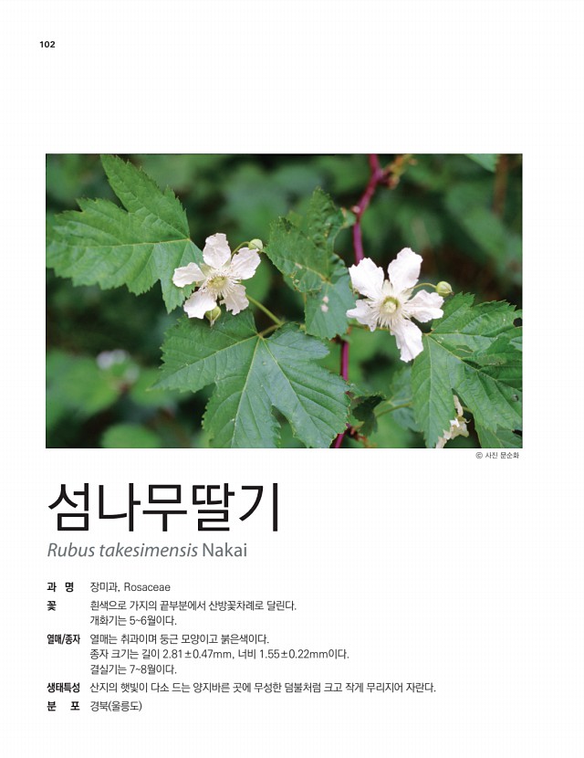 92페이지