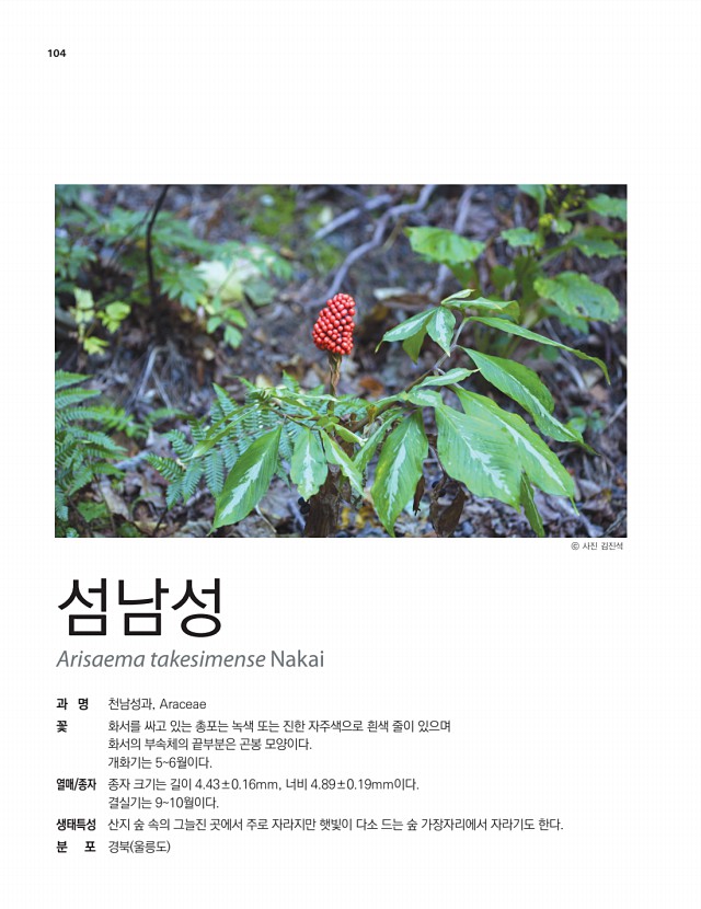 94페이지