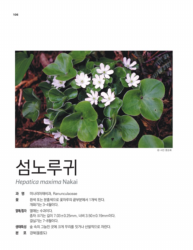 92페이지