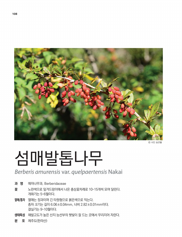 94페이지