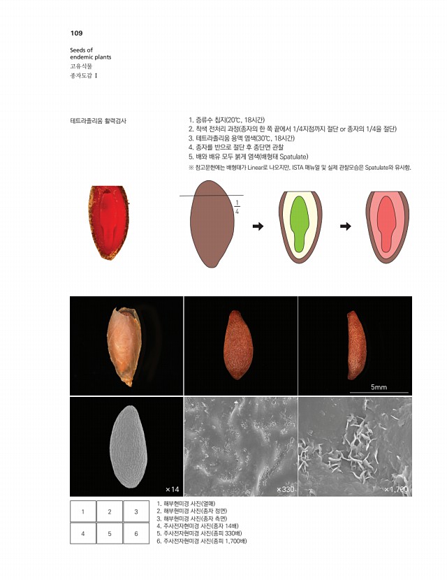 95페이지