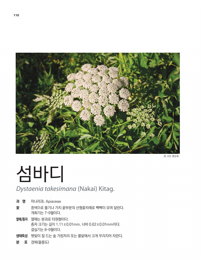 96페이지