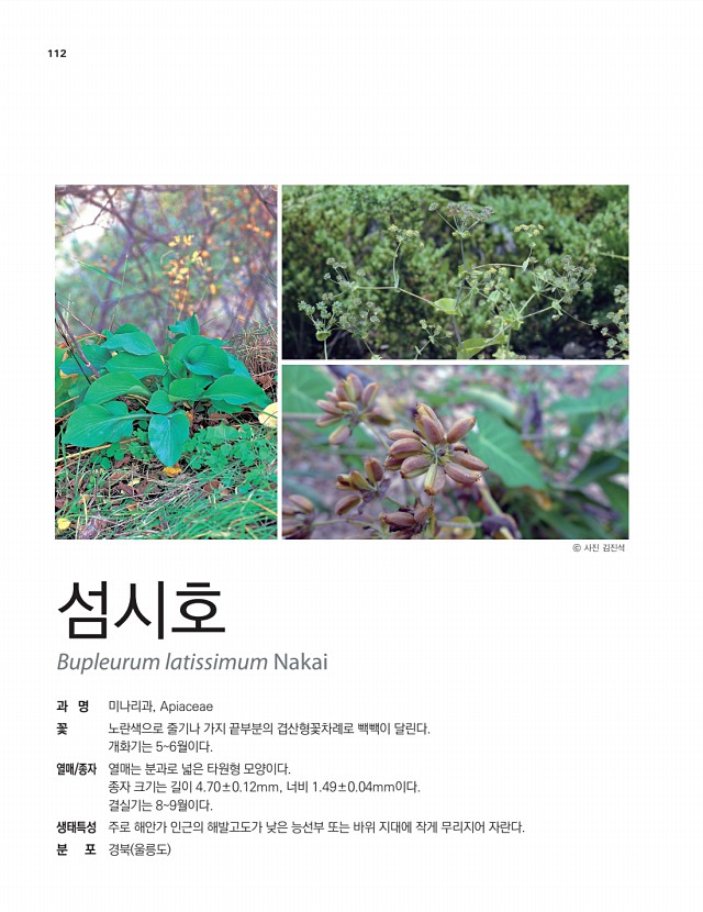 98페이지
