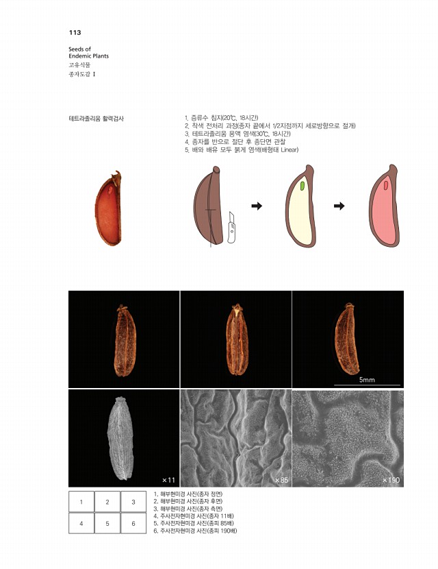 99페이지
