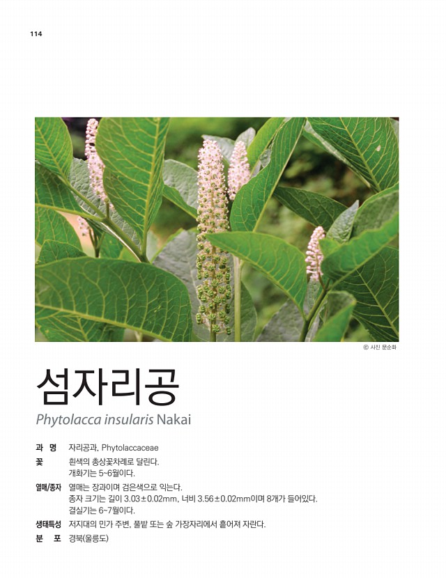 100페이지
