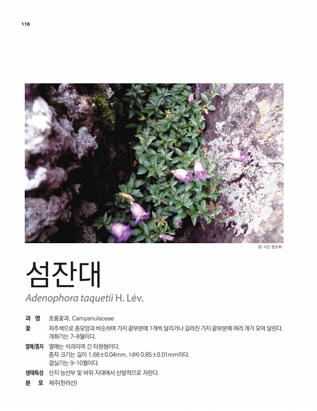 102페이지