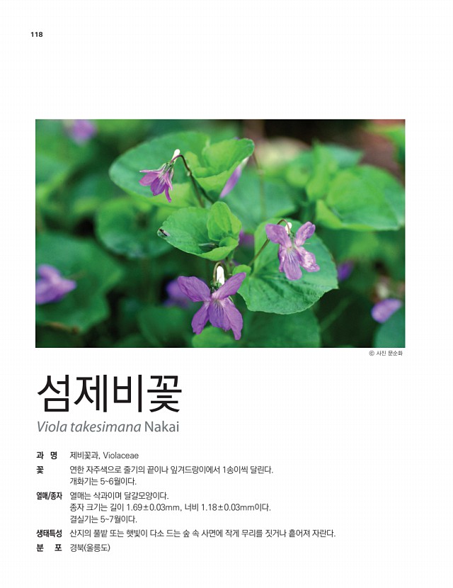 104페이지