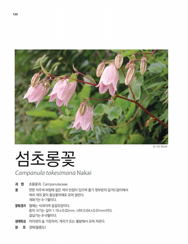 106페이지