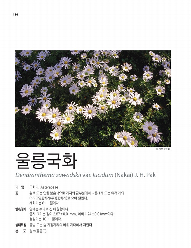 111페이지