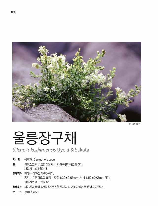 113페이지