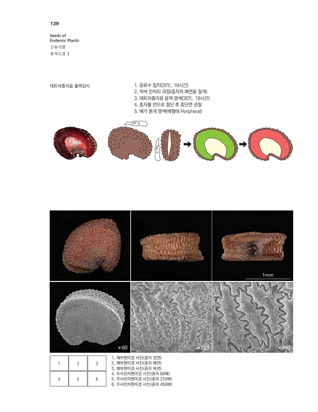 114페이지