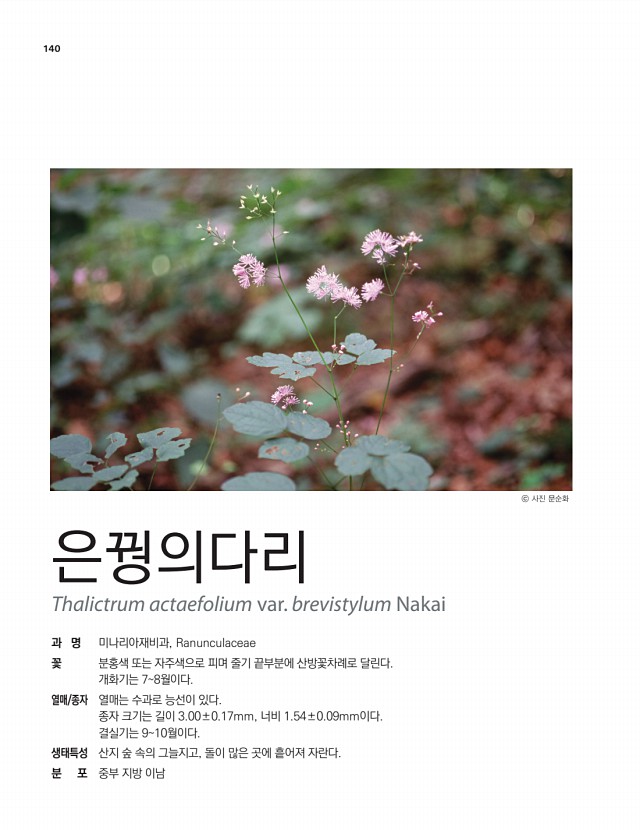 115페이지