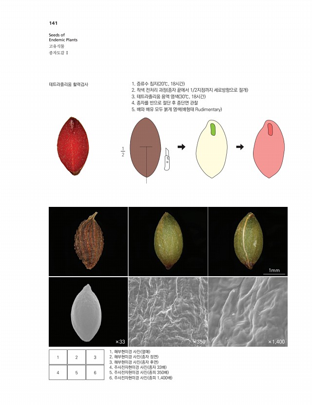116페이지