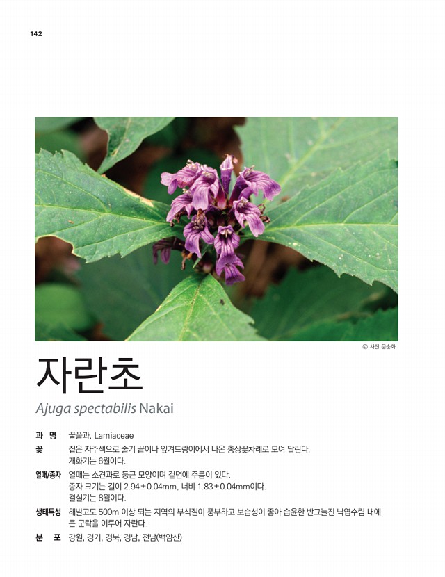 117페이지