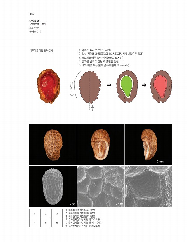 118페이지