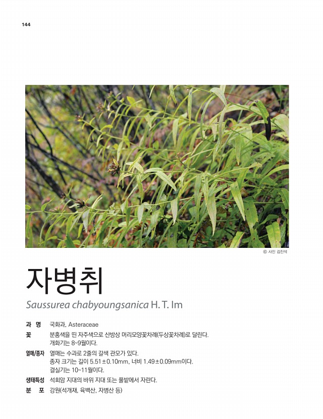 119페이지